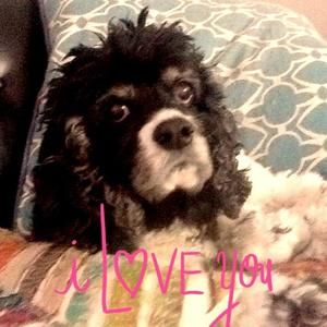 Meet your Posher, Jan-marie